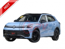 TIGUAN 5 Seats Automobile